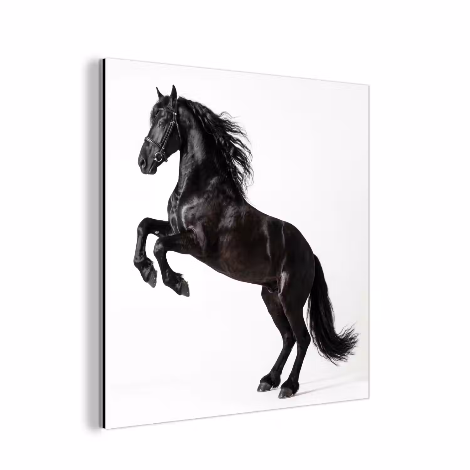 Zwart - Paard - Portret aluminium wit klein -3d