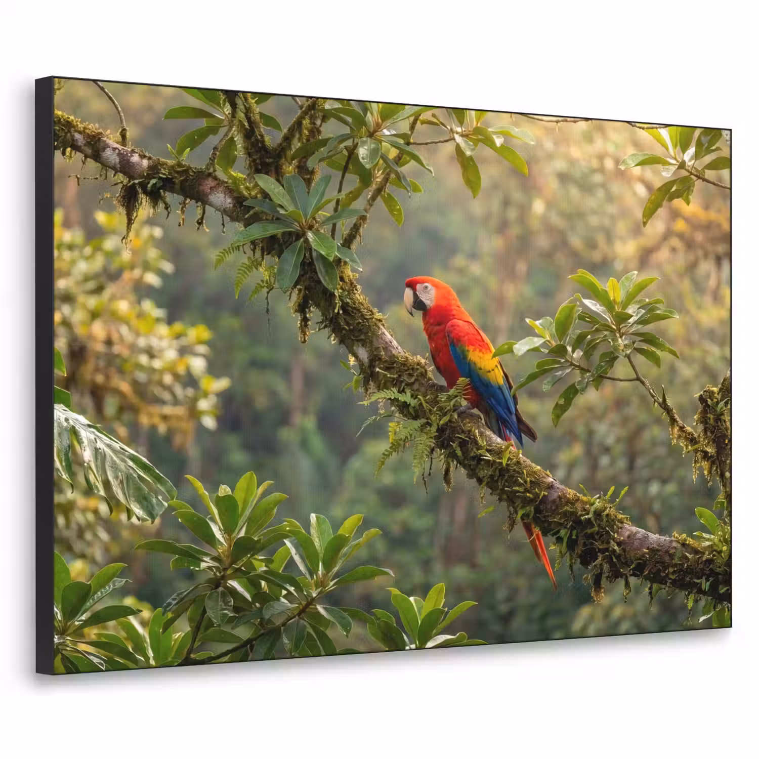 Ara - Jungle - Rood Textielframe zwart klein -3d