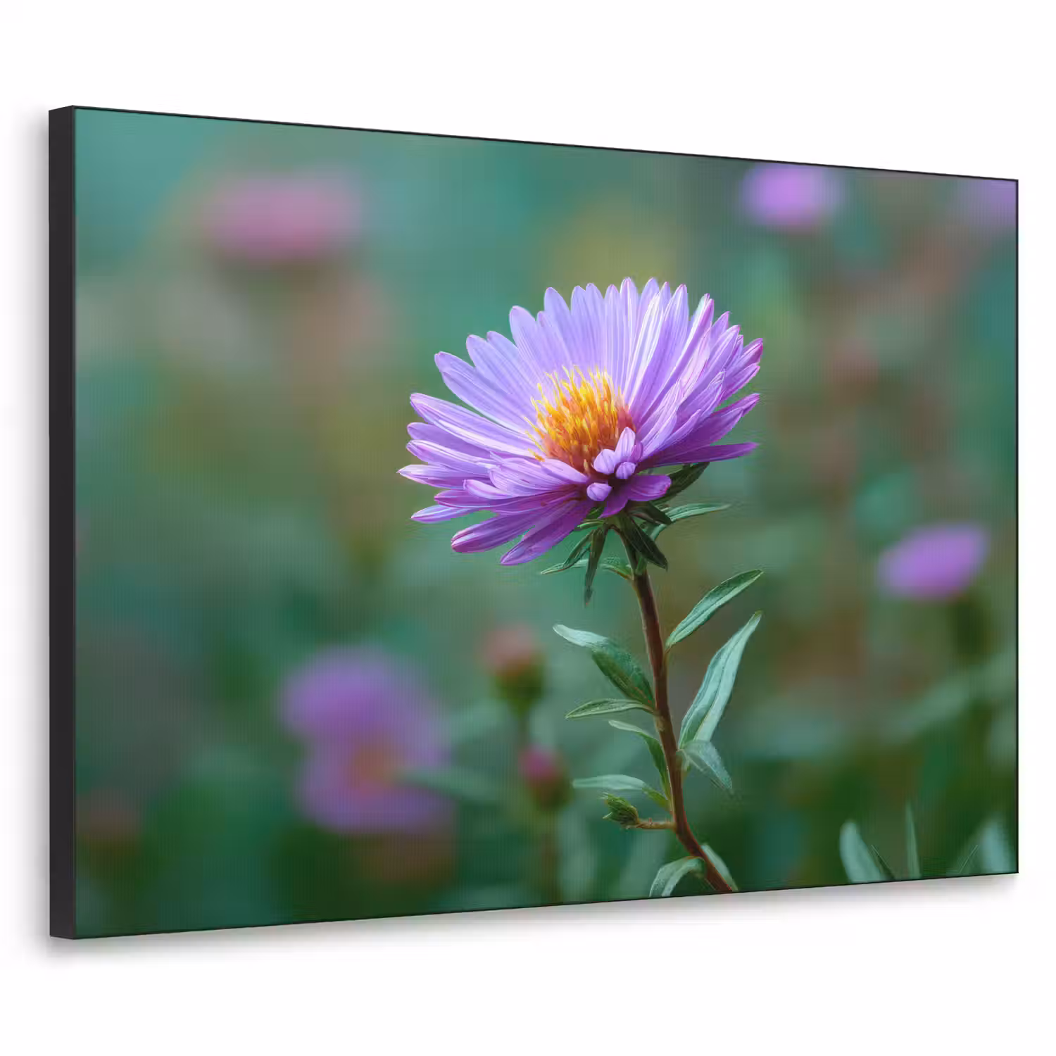 Aster - Paars - Bloem - Blaadjes Textielframe - compleet frame klein -3d