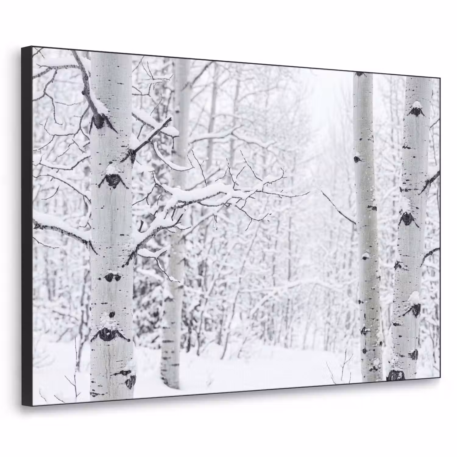 Berkenbomen - Sneeuw - Winter - Bos - Wit Textielframe zwart klein -3d