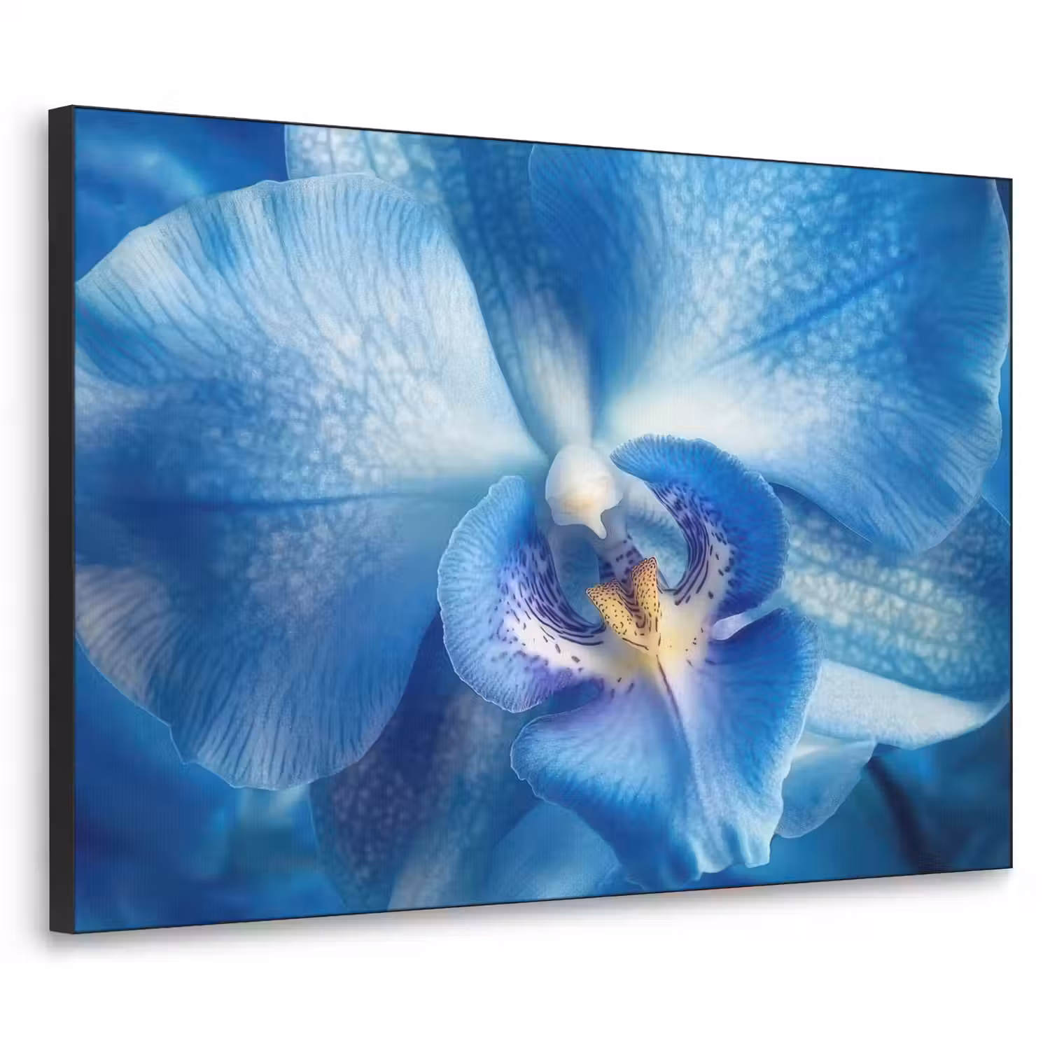 Blauw - Orchidee - Elegeant Textielframe - compleet frame klein -3d