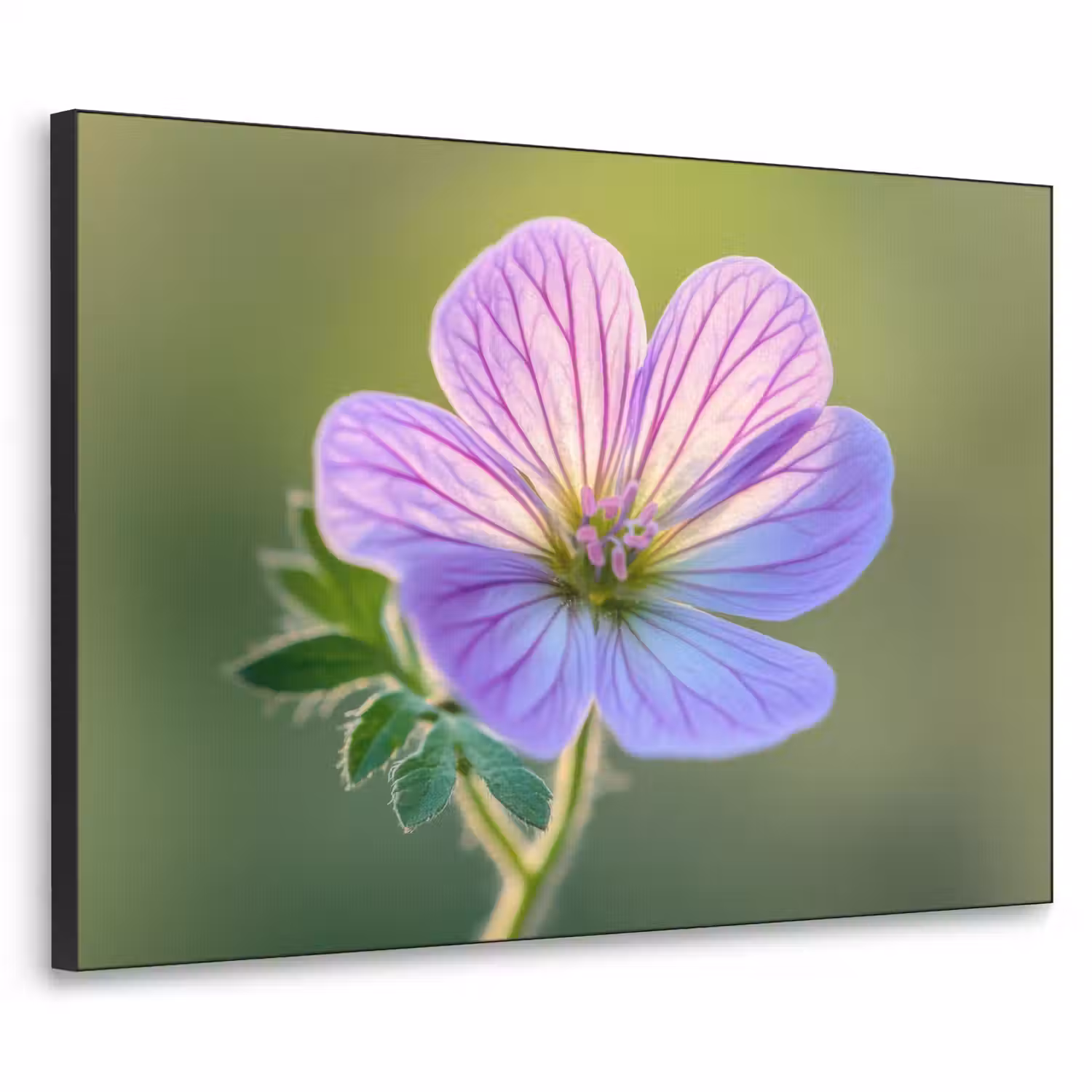 Bloem - Close up - Paars Textielframe - compleet frame klein -3d