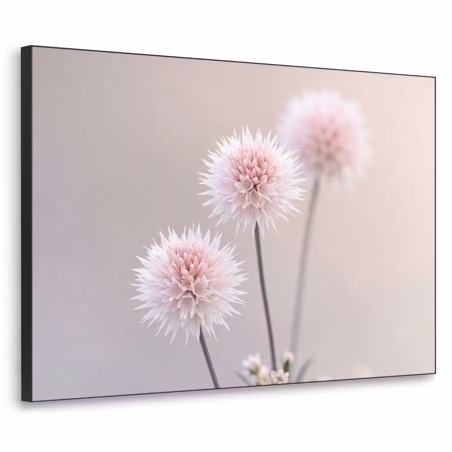 Bloemen - Bollen - Roze Textielframe zwart klein -3d