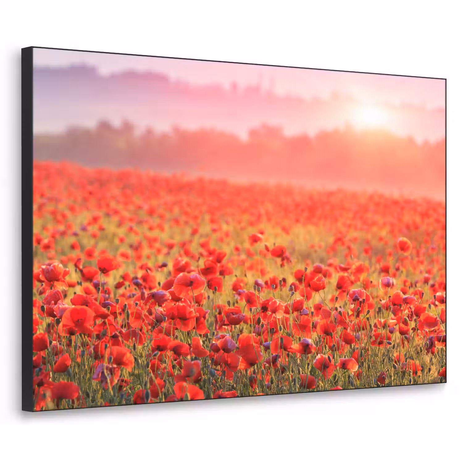 Bloemen - Klaprozen - Rood - Bloemenveld Textielframe zwart klein -3d