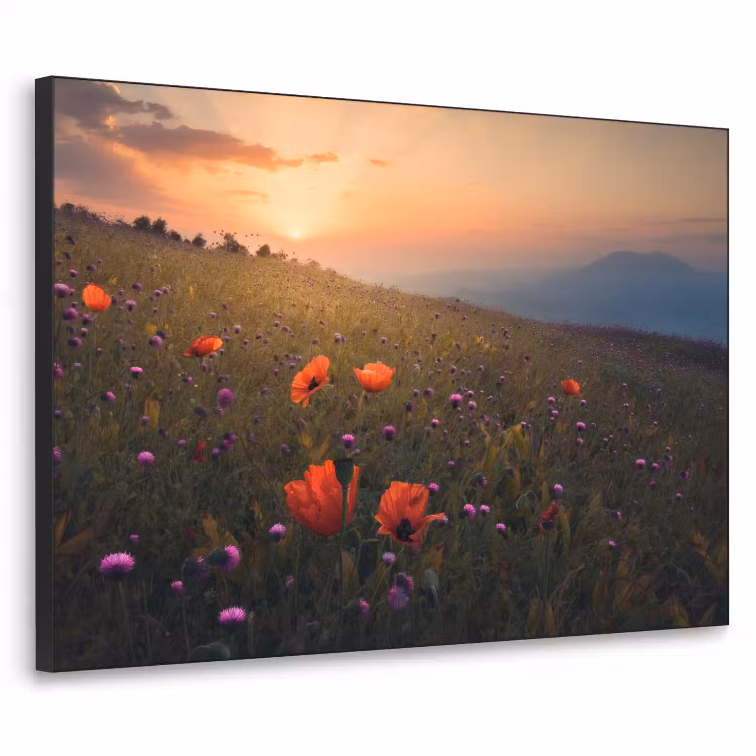 Bloemenveld - Gras - Bloemen - Planten - Zonsondergang - Oranje Textielframe zwart klein -3d