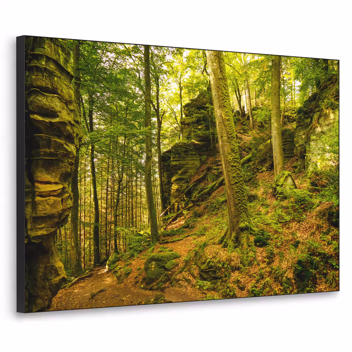 Bomen - Steen - Bos - Natuur - Planten Textielframe zwart klein -3d