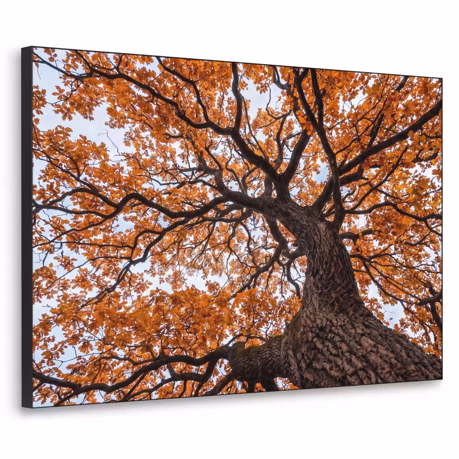 Boom - Bladerdak - Herfst - Oranje - Sfeervol Textielframe zwart klein -3d