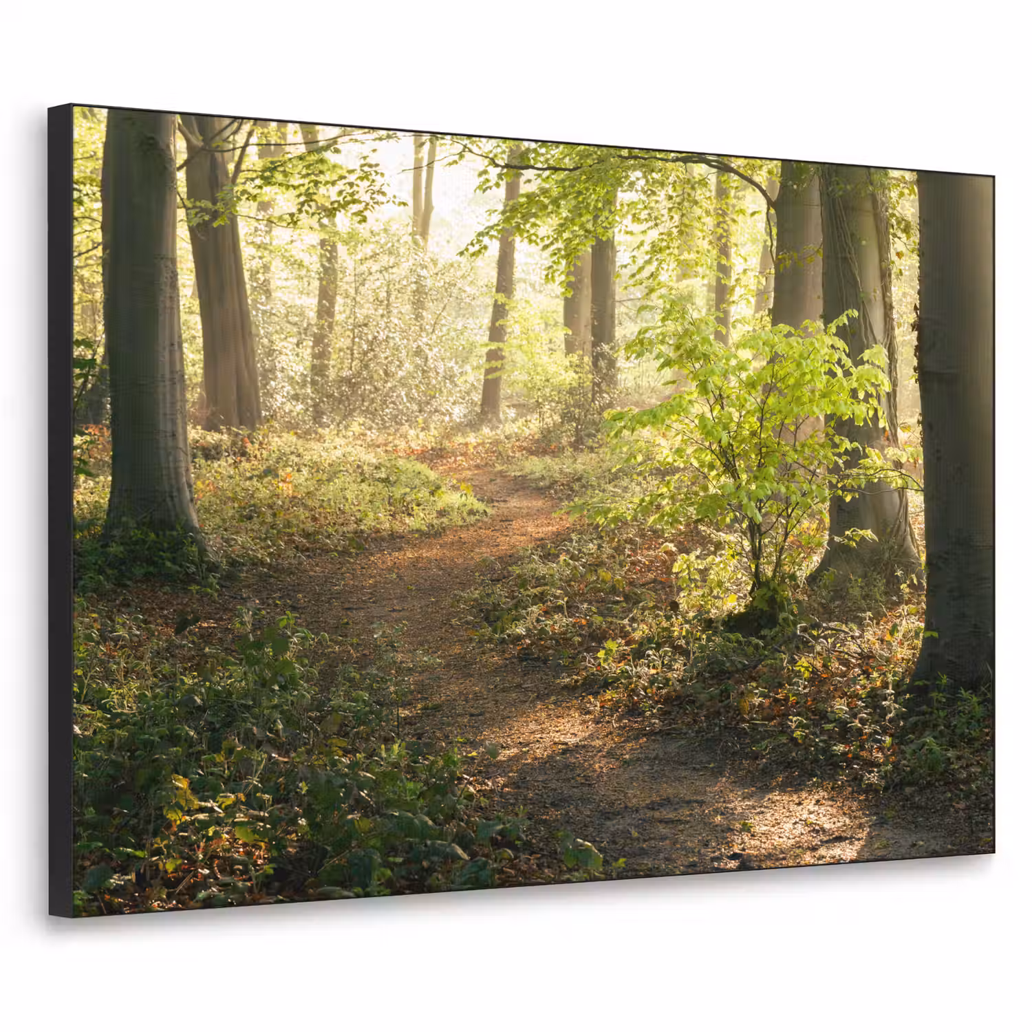 Bos - Bomen - Pad - Zon - Planten - Bladeren - Natuur Textielframe zwart klein -3d