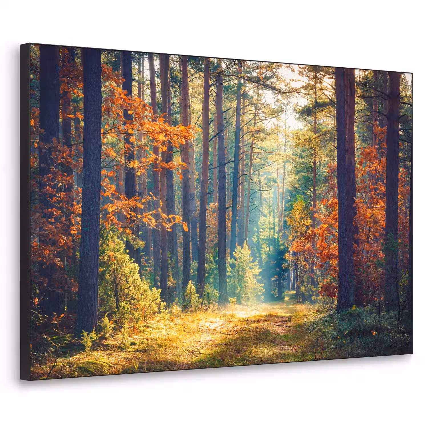Bos - Zon - Natuur - Herfst Textielframe zwart klein -3d