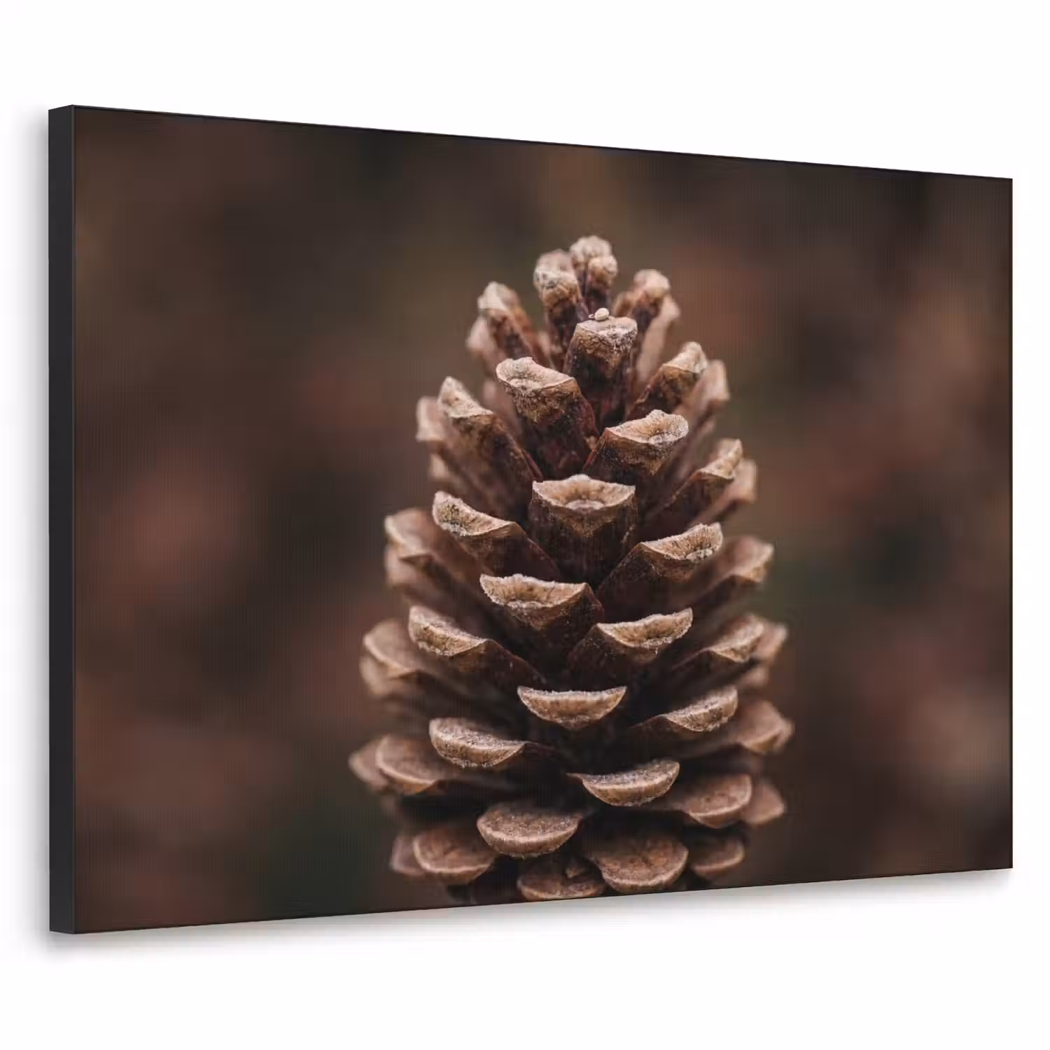 Dennenappel - Bos - Herfst - Bruin - Sfeervol Textielframe zwart klein -3d