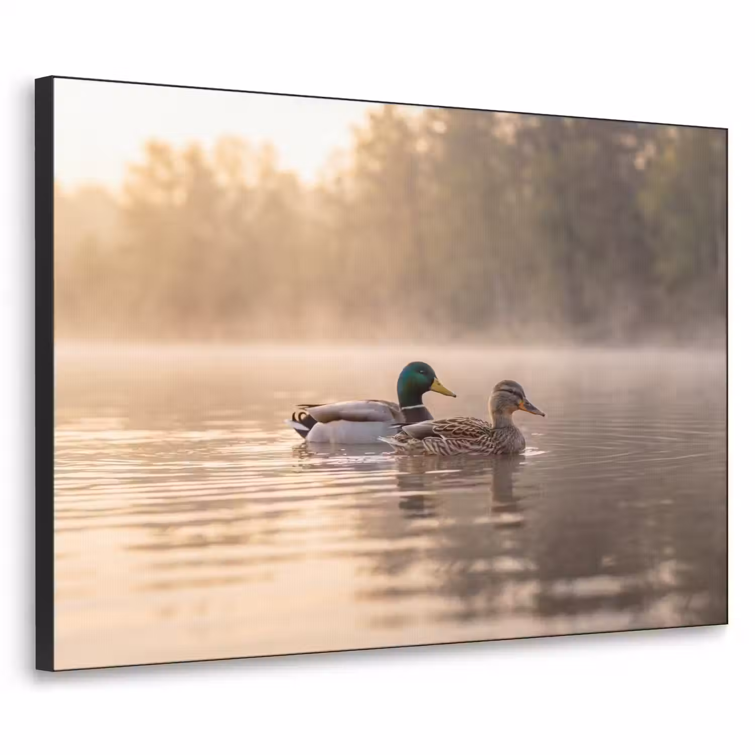 Eenden - Water - Mist - Natuur Textielframe zwart klein -3d