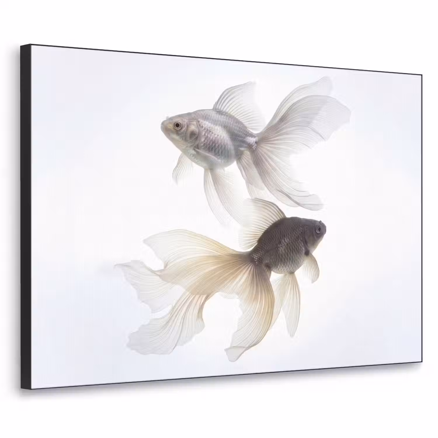 Goudvissen - Modern - Wit Textielframe zwart klein -3d