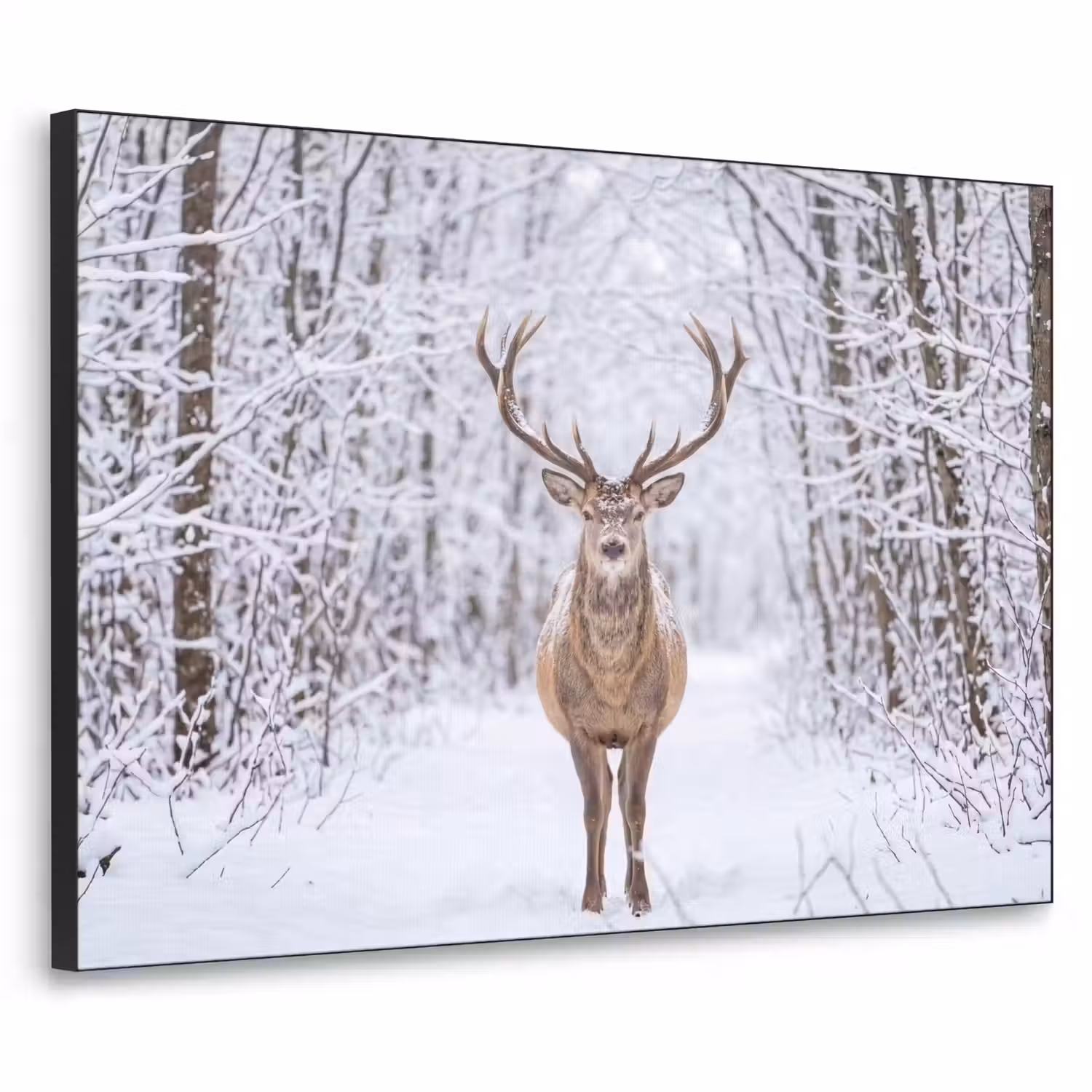 Hert - Winter - Bos - Natuur - Wit Textielframe zwart klein -3d