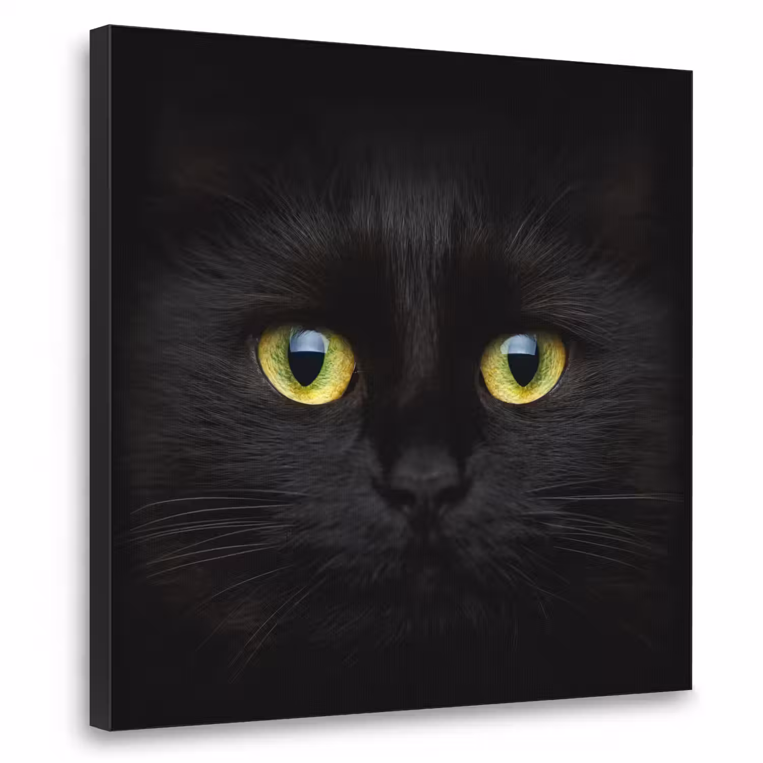 Kat - Zwart - Dieren - Natuur Textielframe zwart klein -3d