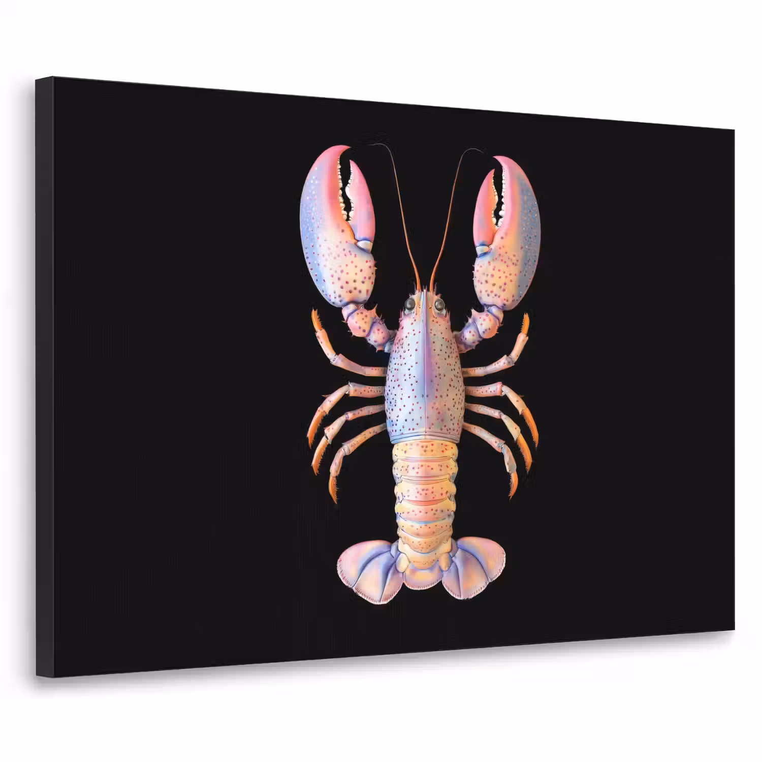 Kreeft - Roze - Zacht - Zwart Textielframe - compleet frame klein -3d