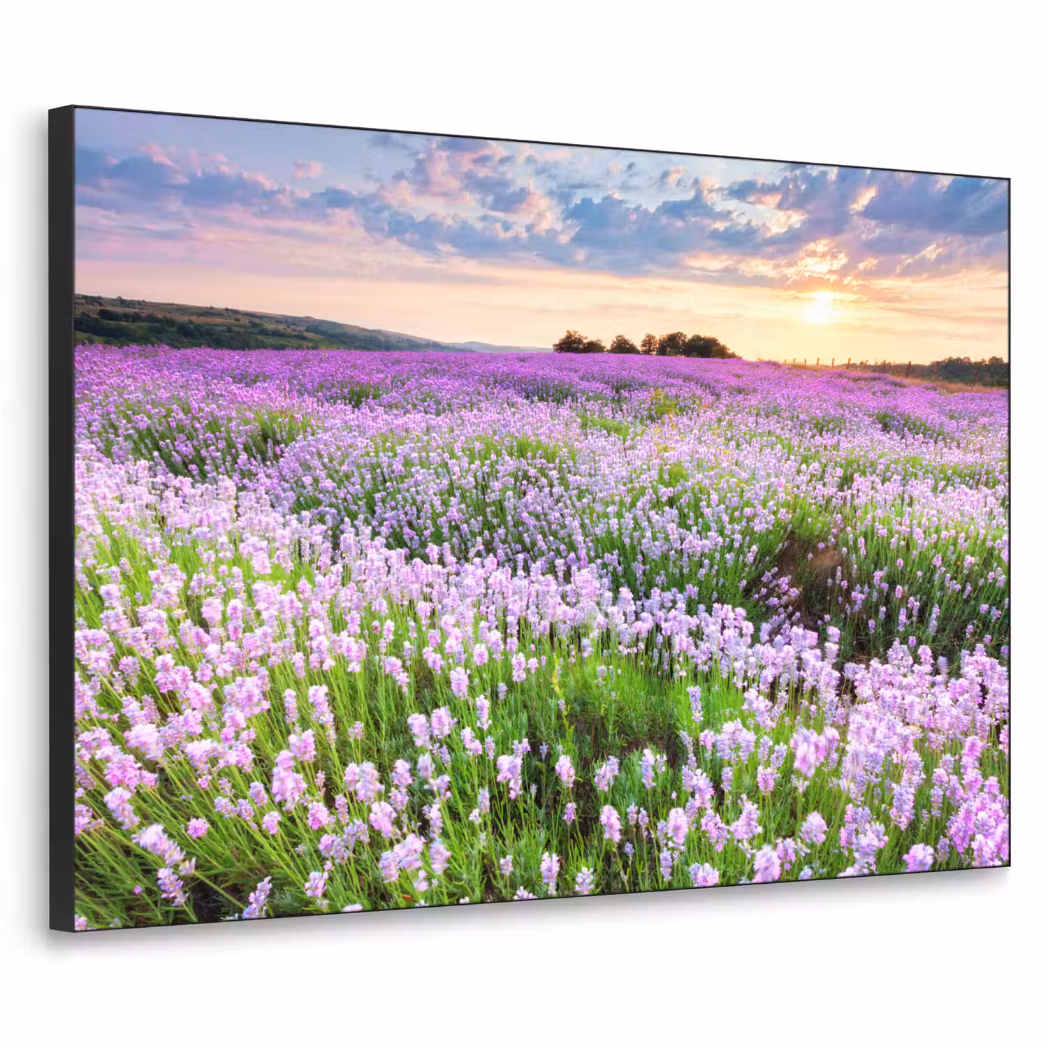 Lavendel - Bloemen - Zonsondergang - Paars - Weide Textielframe zwart klein -3d