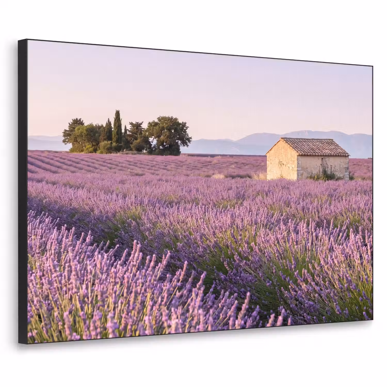 Lavendel - Landschap - Sereen - Paars Textielframe zwart klein -3d