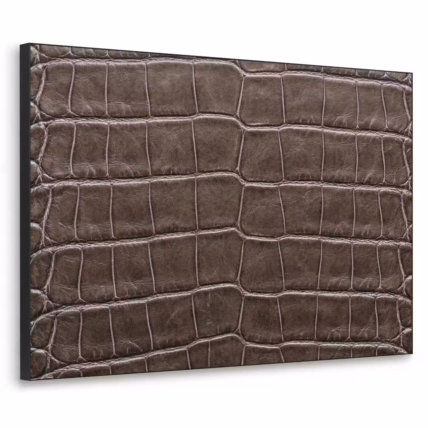Leer - Krokodil - Mat Textielframe zwart klein -3d