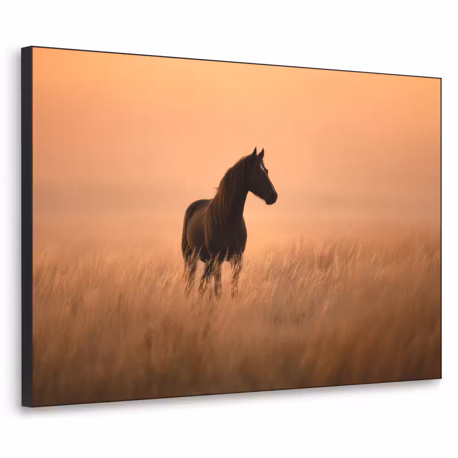 Paard - Grasveld - Zonsondergang Textielframe - compleet frame klein -3d