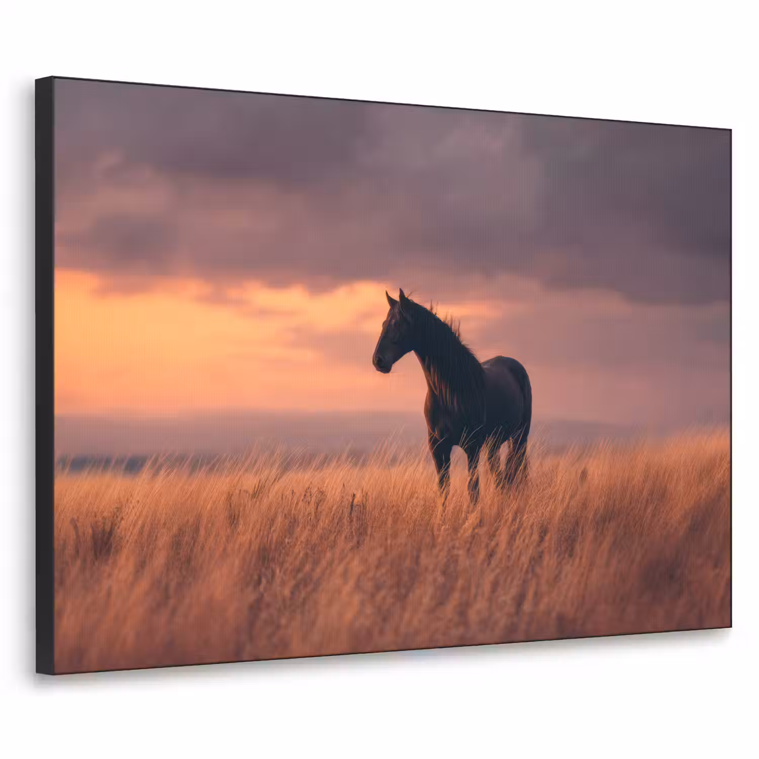 Paard - Wolken - Open veld Textielframe - compleet frame klein -3d