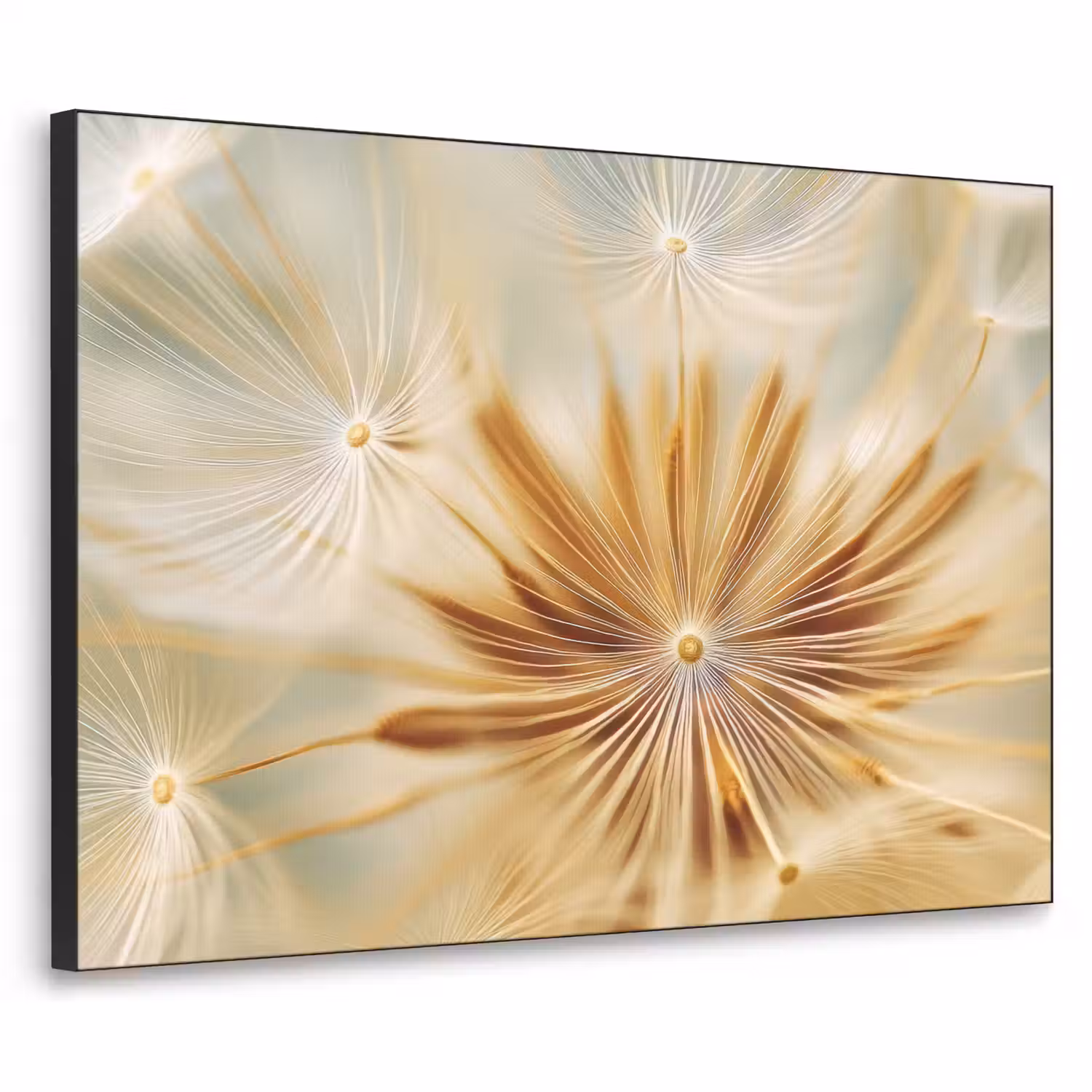 Paardenbloem - Beige - Abstract - Modern - Natuur Textielframe - compleet frame klein -3d