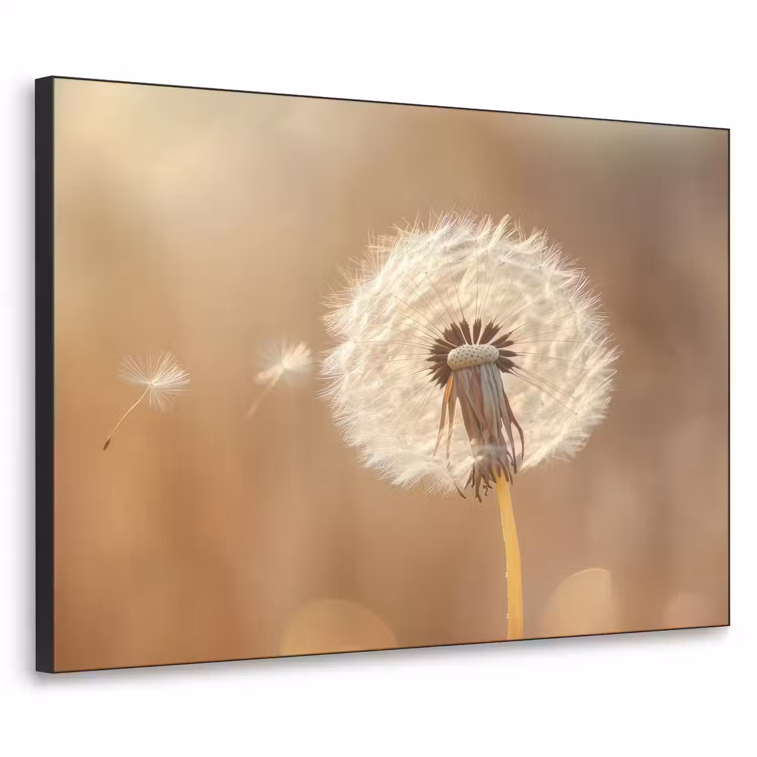 Paardenbloem - Beige - Natuur - Bloem Textielframe - compleet frame klein -3d