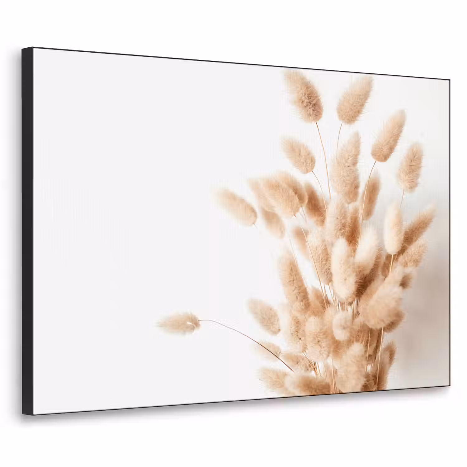 Pampasgras - Pluim - Wit - Beige Textielframe zwart klein -3d