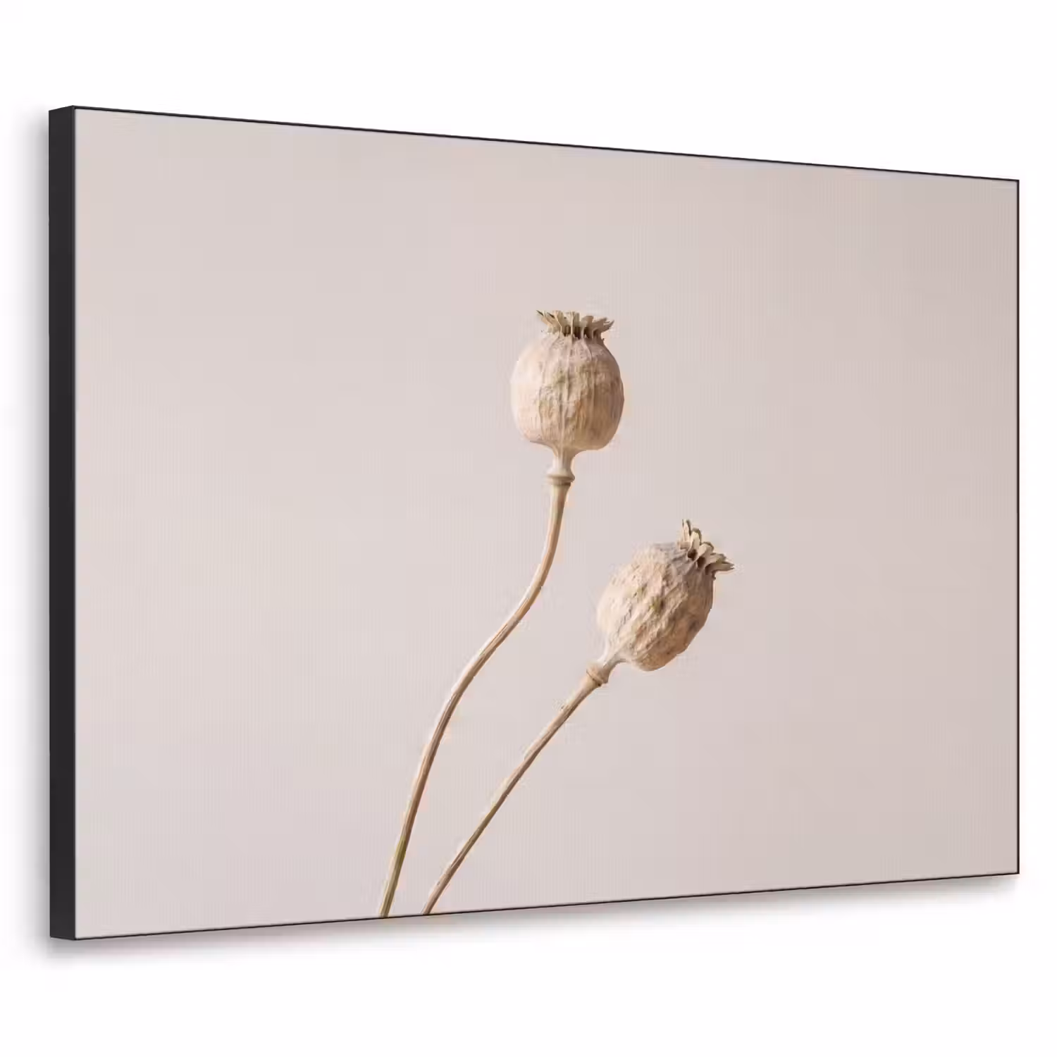 Papaverbollen - Droogbloemen - Minimalistisch - Beige - Rustig Textielframe zwart klein -3d