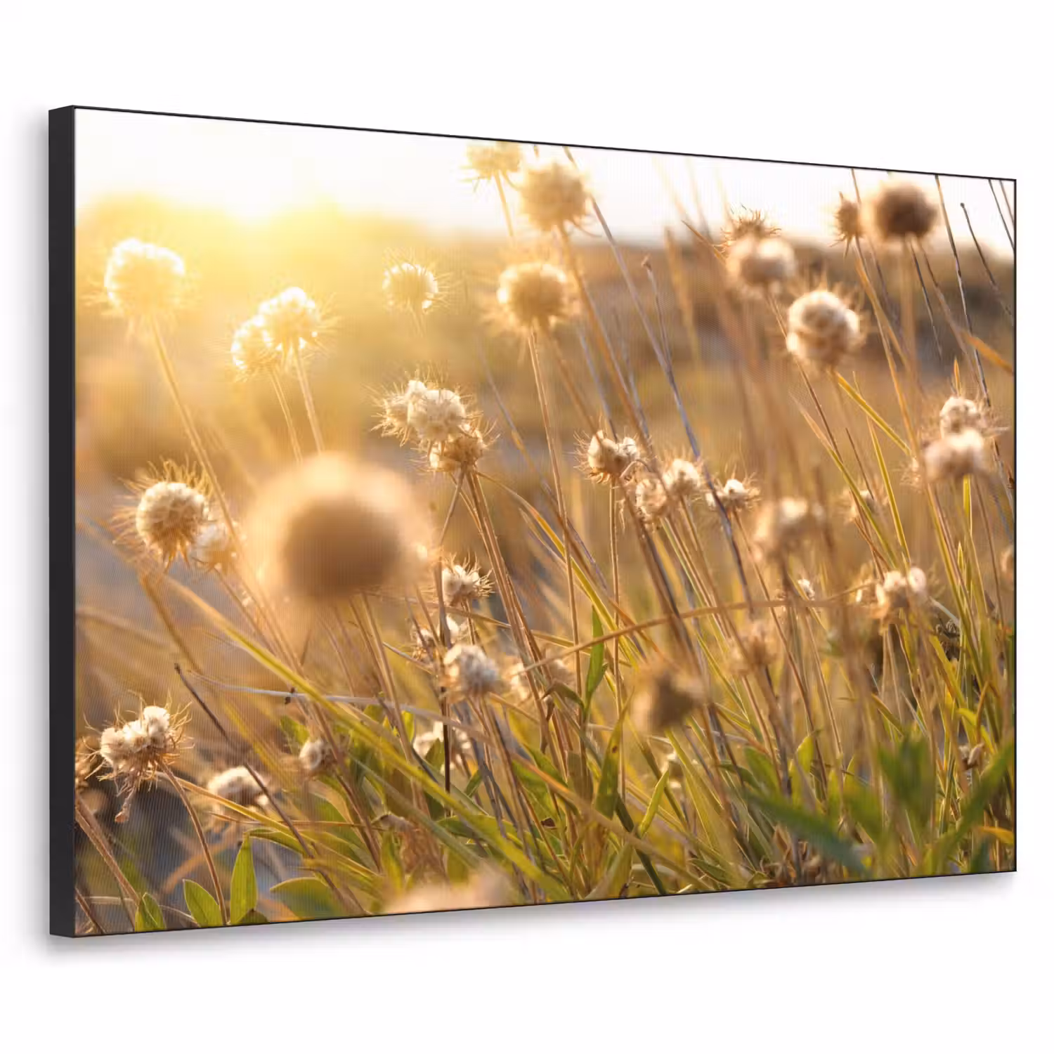 Planten - Natuur - Bloemen - Zon - Horizon Textielframe zwart klein -3d