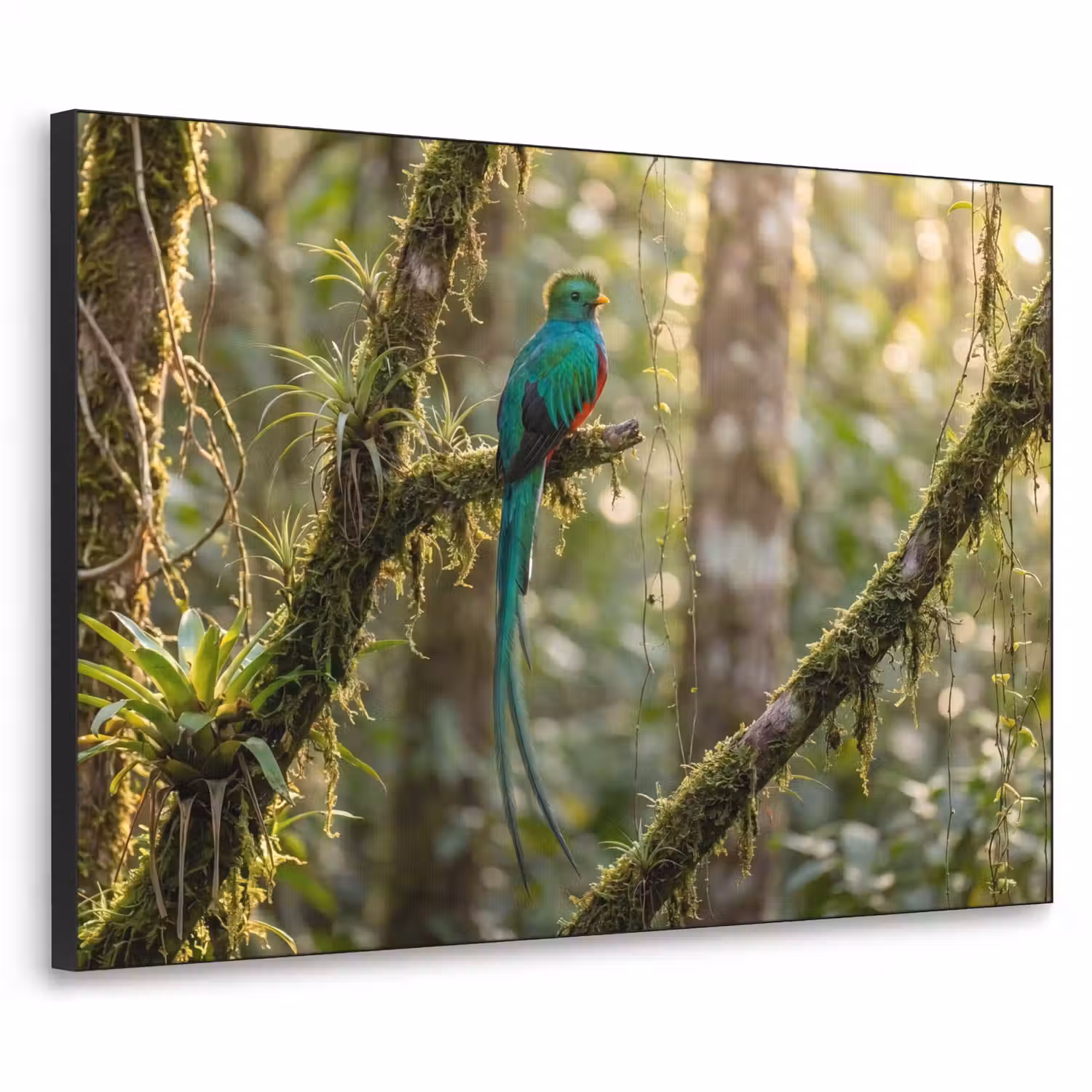 Quetzal - Jungle - Natuur - Groen Textielframe zwart klein -3d