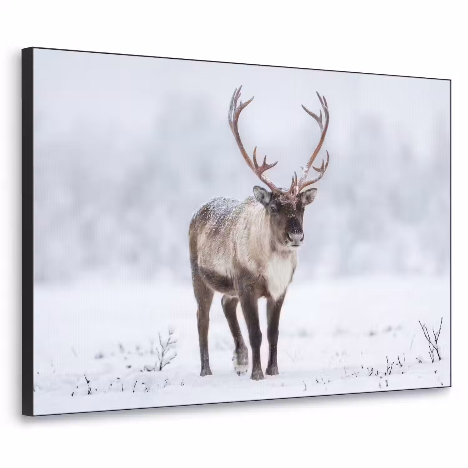 Rendier - Gewei - Toendra - Sneeuw - Wild Textielframe zwart klein -3d