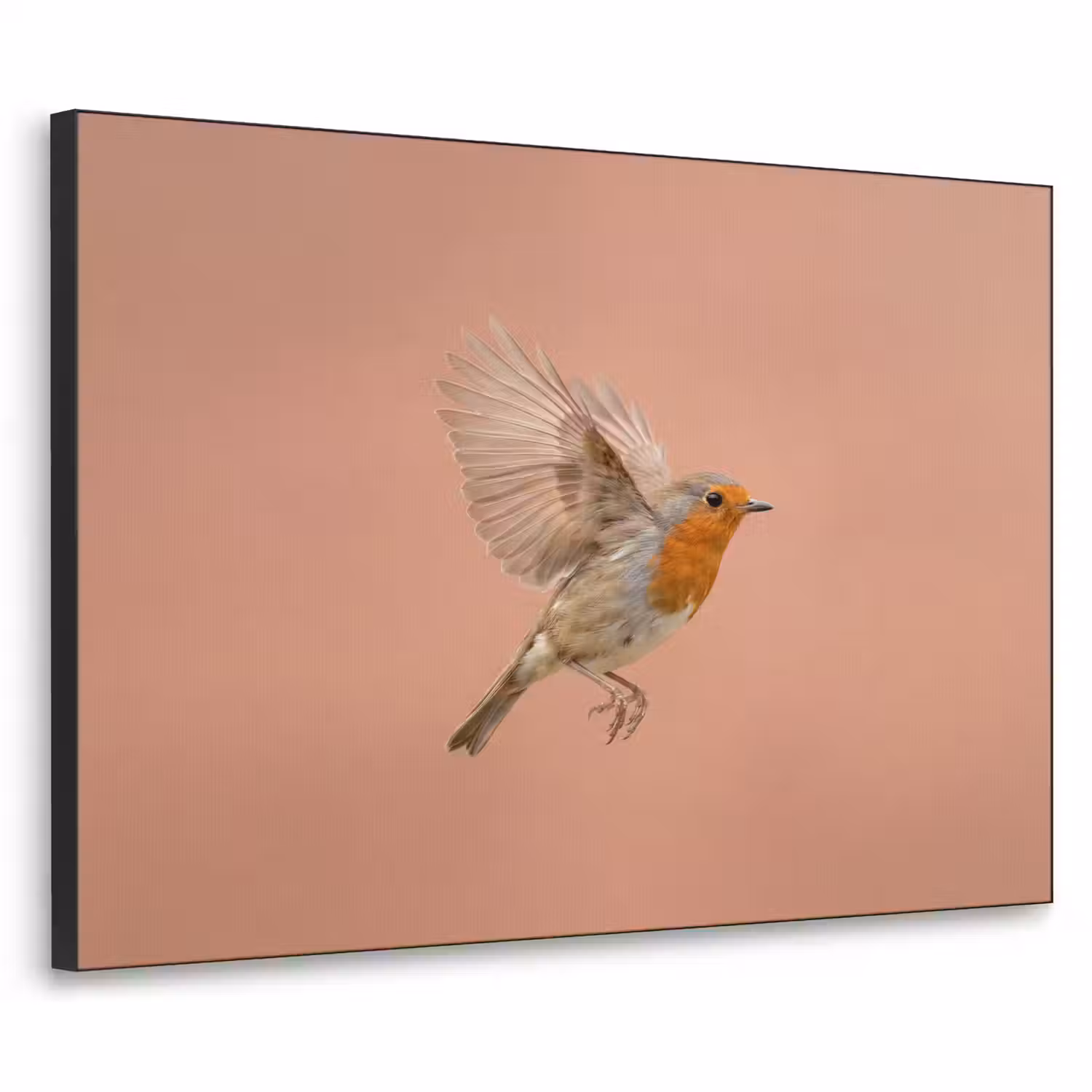 Roodborst - Natuur - Roze Textielframe zwart klein -3d