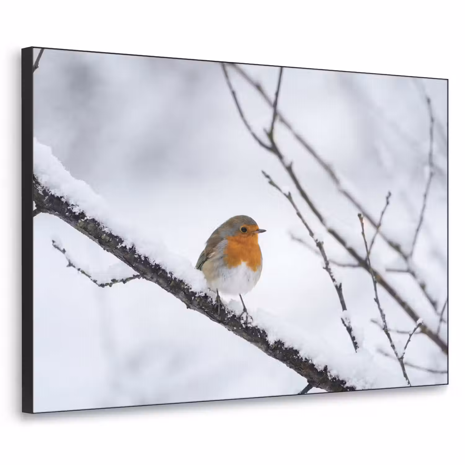 Roodborstje - Tak - Sneeuw - Winter - Levendig Textielframe zwart klein -3d