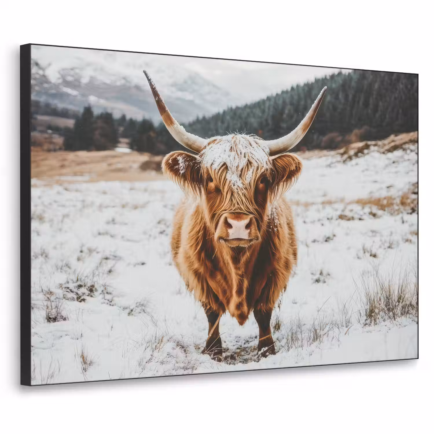 Schotse Hooglander - Landschap - Sneeuw - Bergen - Winter Textielframe - compleet frame klein -3d