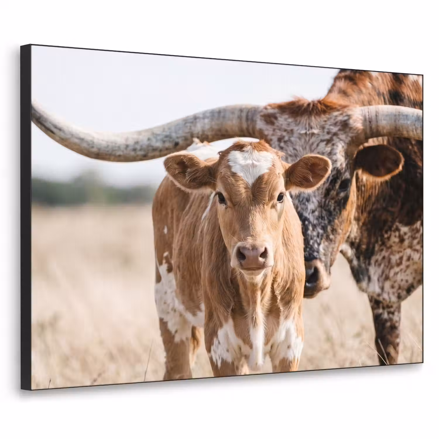 Texas Longhorn - Kalf - Weide - Dieren Textielframe zwart klein -3d