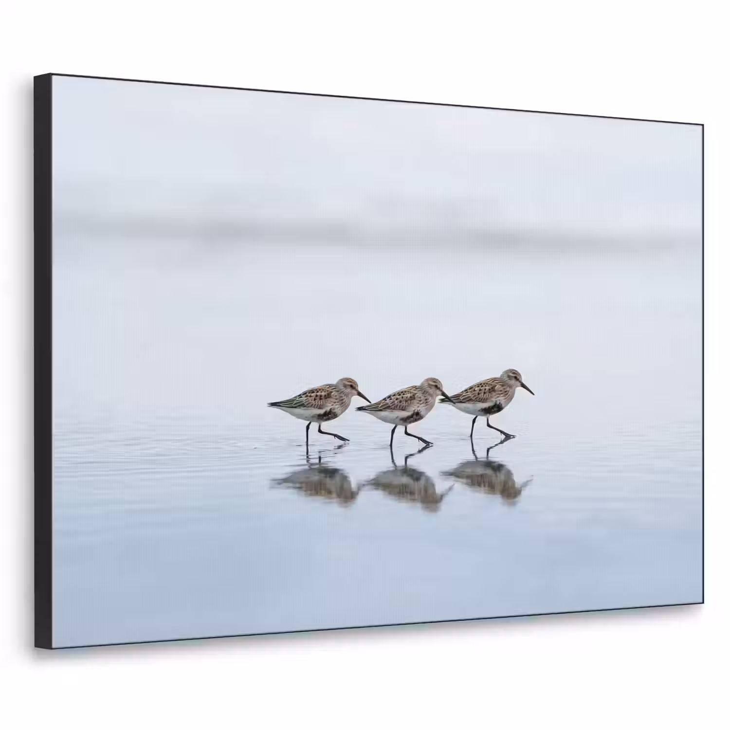 Vogels - Water - Grijs Textielframe zwart klein -3d