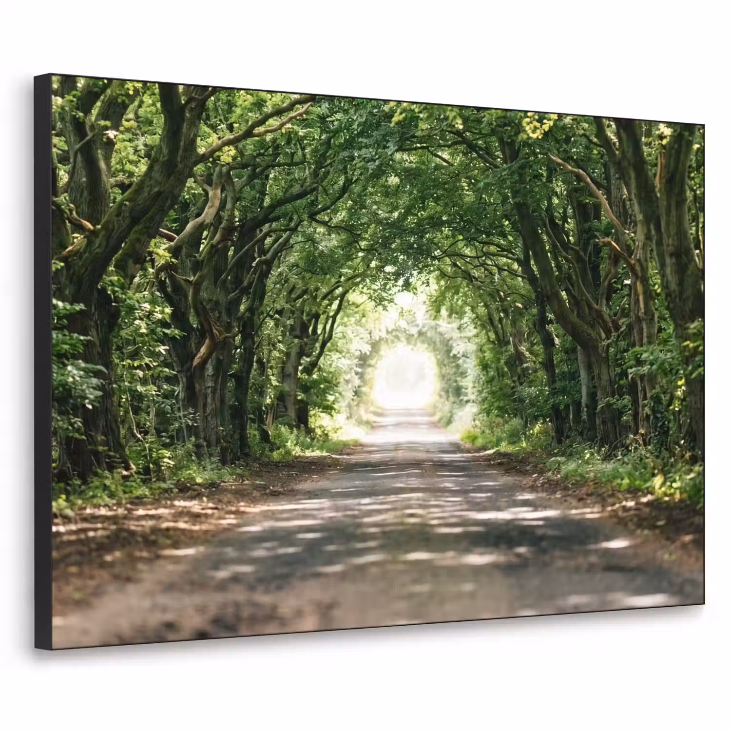 Weg - Bomen - Natuur - Groen Textielframe zwart klein -3d