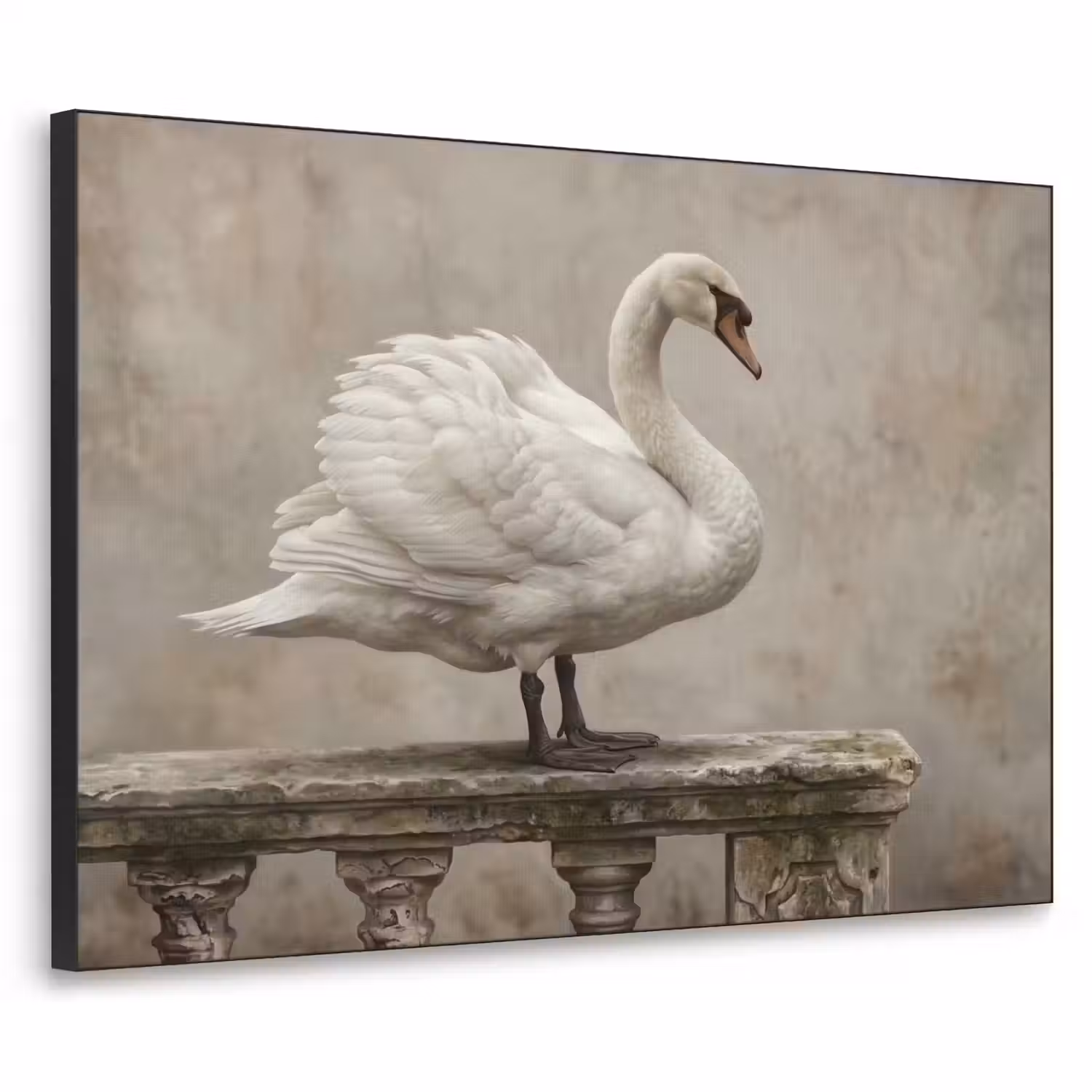 Zwaan - Elegant - Dieren - Wit Textielframe zwart klein -3d