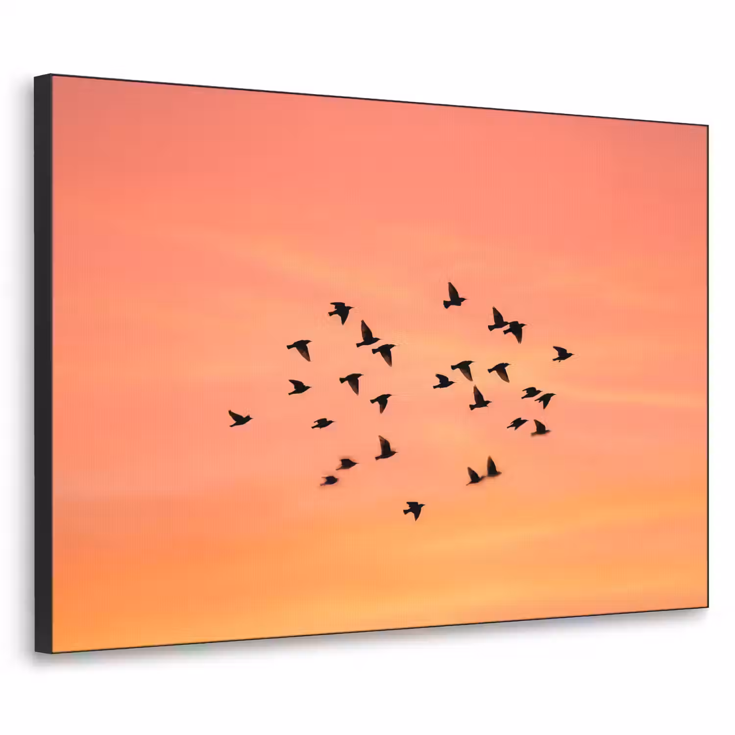 Zwerm - Vogels - Oranje Textielframe zwart klein -3d