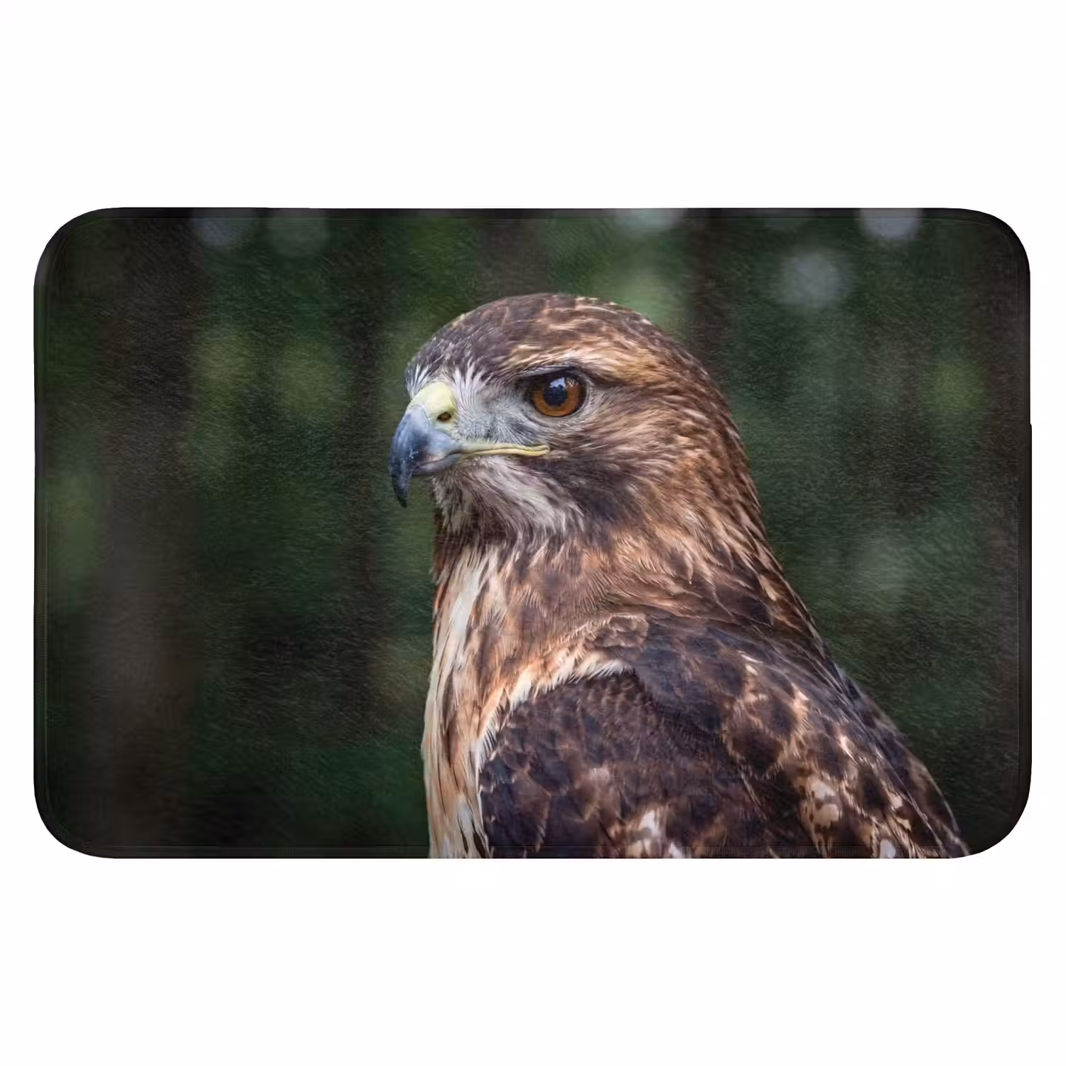 Buizerd - Roofvogel - Natuur - Bruin Badmat klein -3d