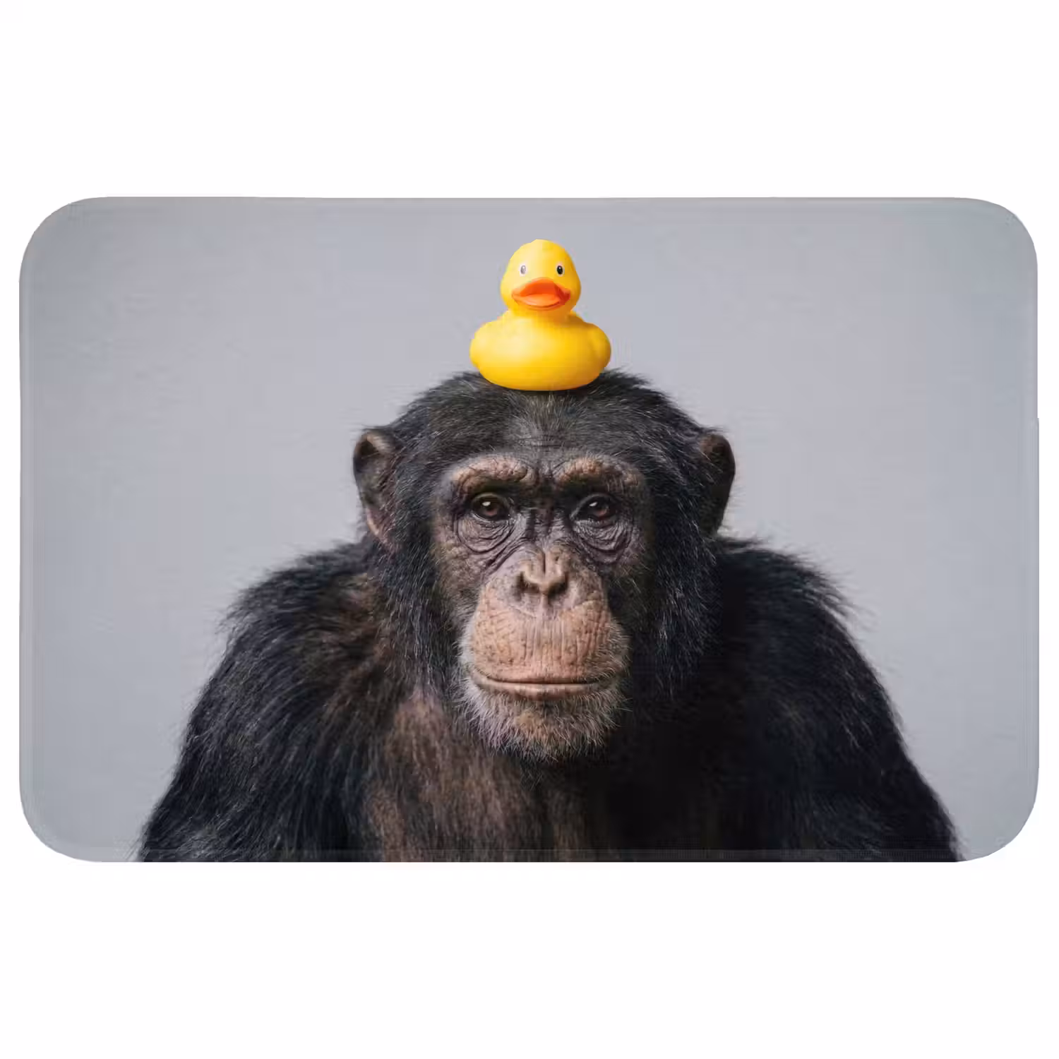 Chimpansee - Badeend - Grijs Badmat klein -3d