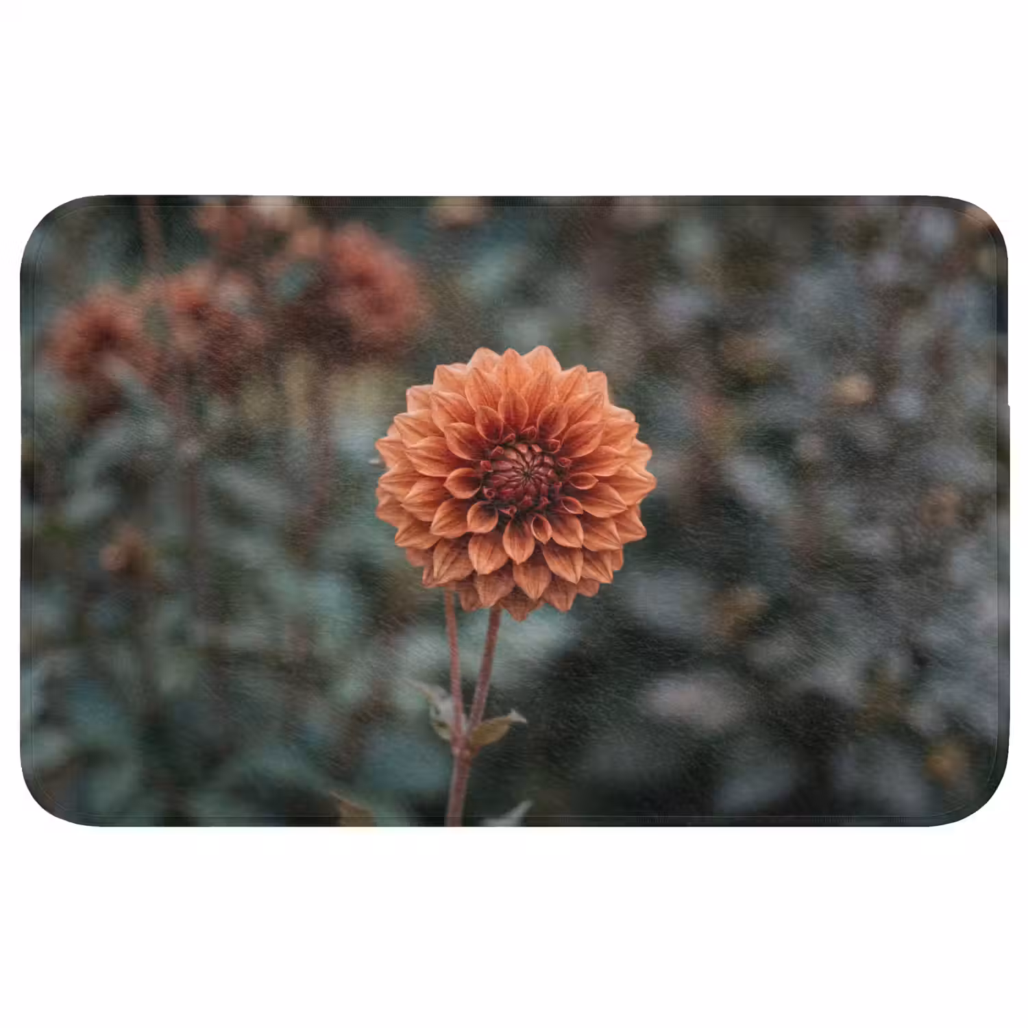 Dahlia - Bloem - Natuur - Sfeervol Badmat klein -3d