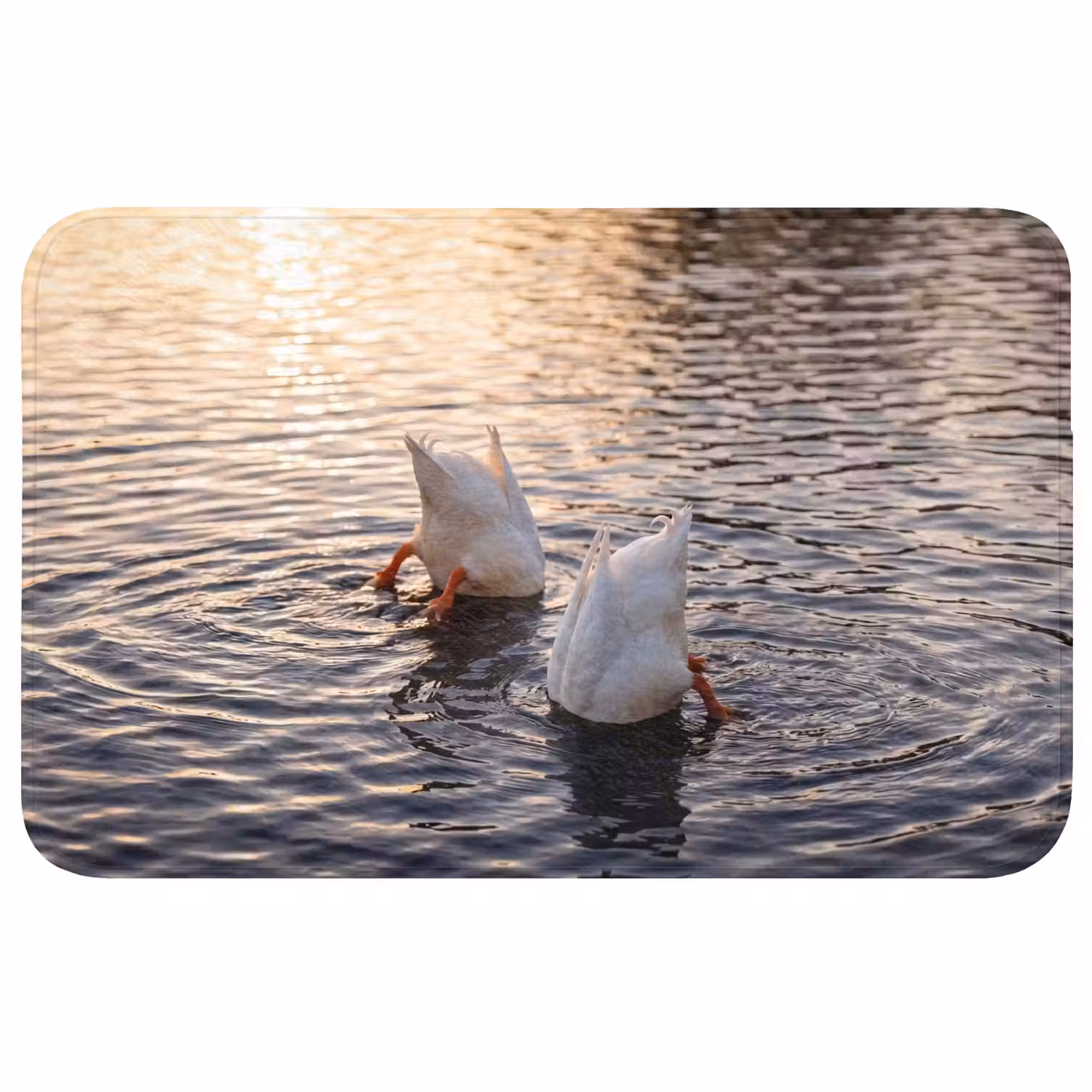 Eenden - Water - Natuur Badmat klein -3d