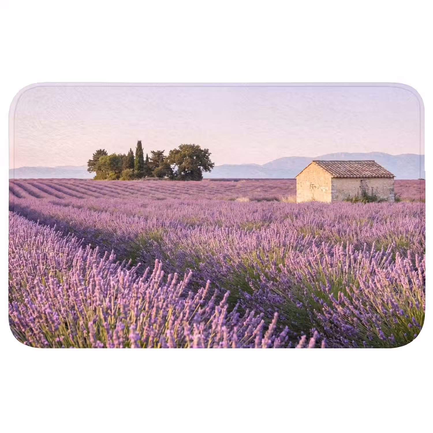 Lavendel - Landschap - Sereen - Paars Badmat klein -3d