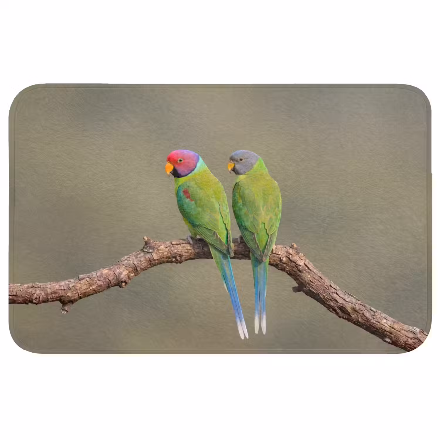 Papagaai - Tak - Natuur - Kleurrijk Badmat middel -3d
