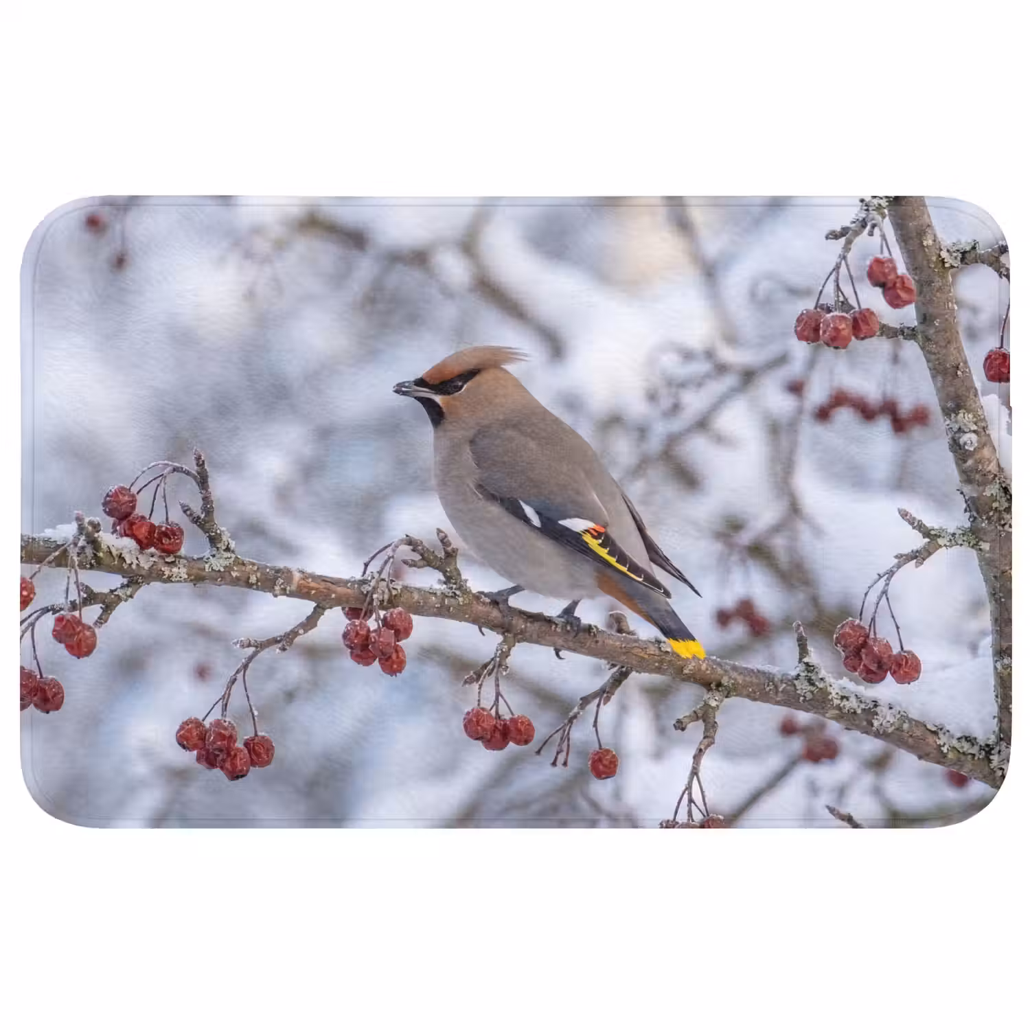 Pestvogel - Bessen - Winter - Natuur Badmat klein -3d