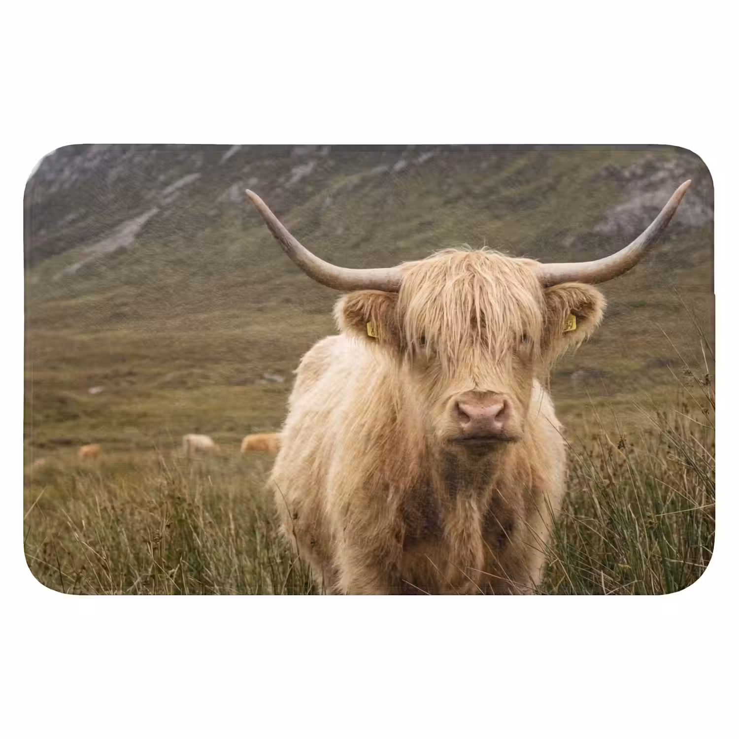 Schotse hooglander - Bergen - Grasveld Badmat klein -3d
