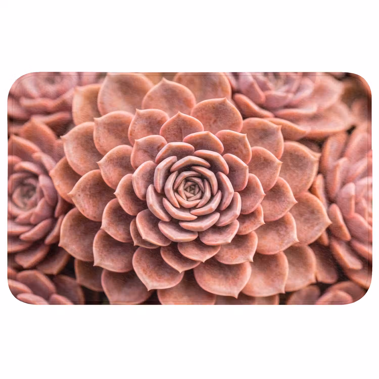 Vetplant - Organisch - Roze Badmat klein -3d