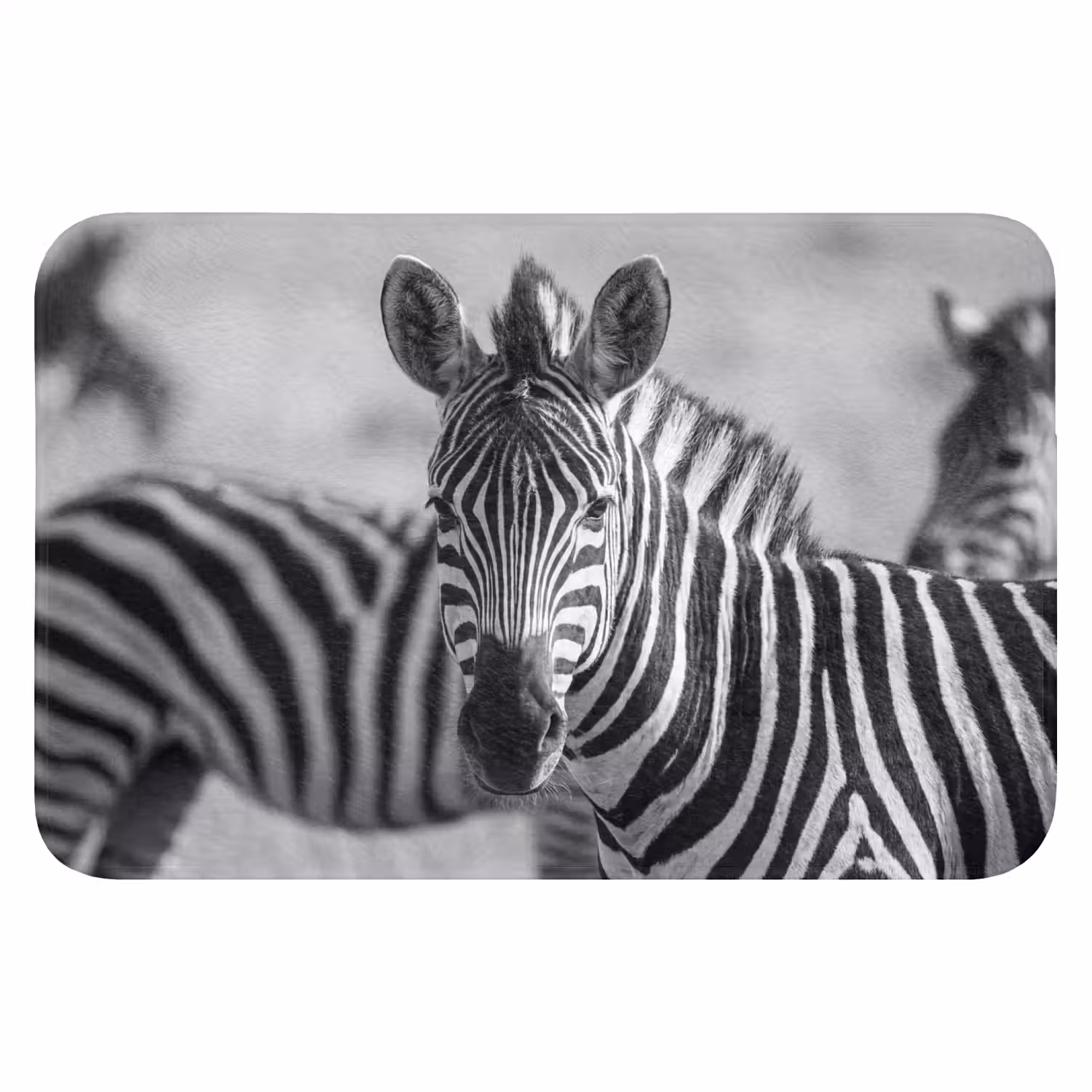 Zebra's - Zwart - Wit Badmat klein -3d