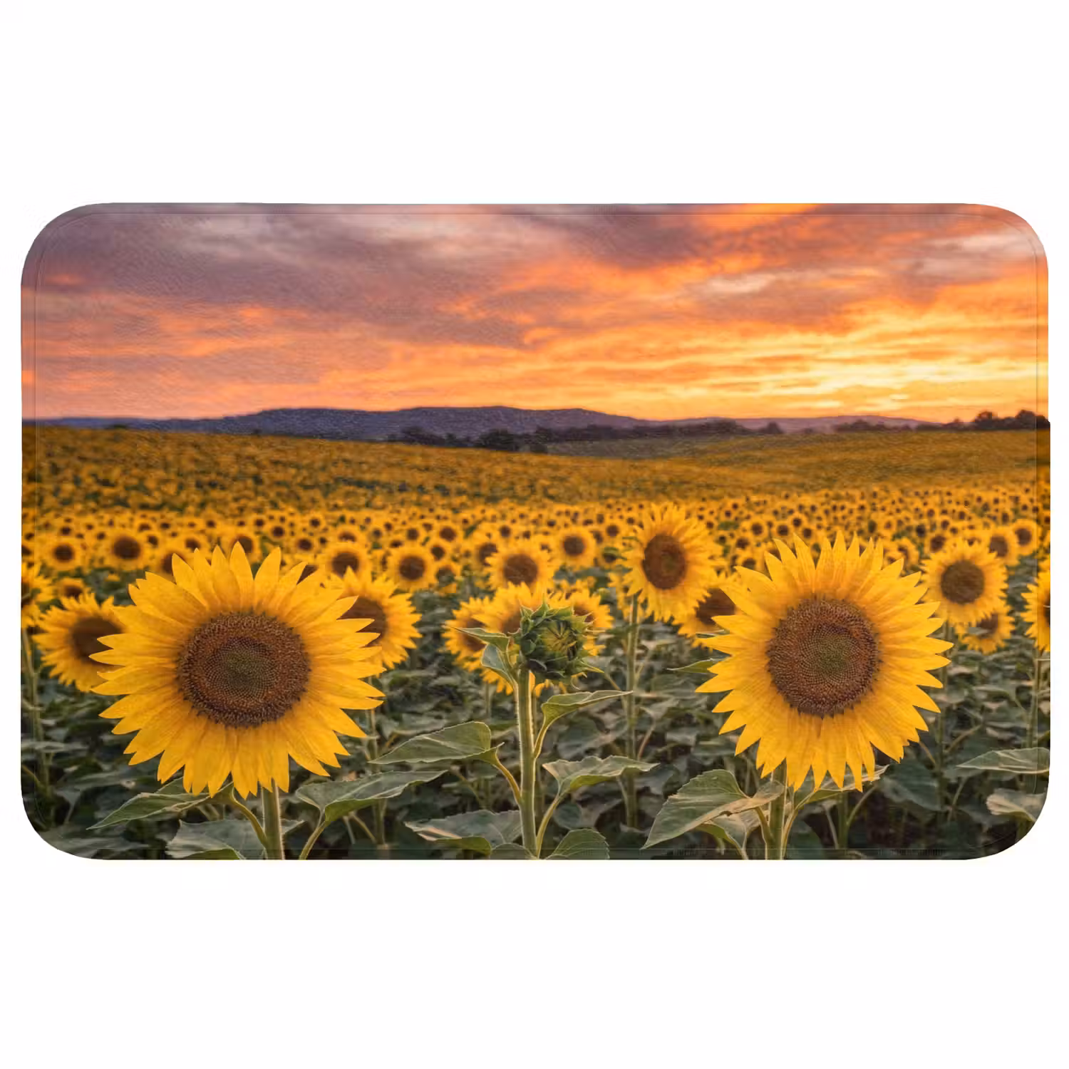 Zonnebloemen - Heuvellandschap - Geel Badmat klein -3d